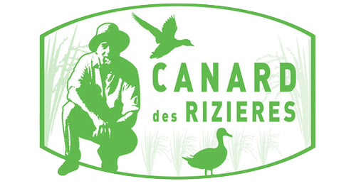 Canard des Rizières